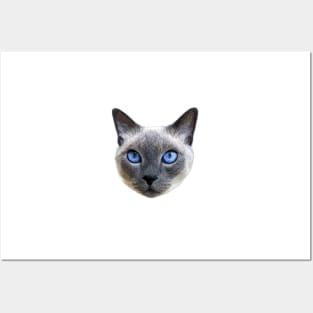 Siamese Cat Blue Eyes Posters and Art